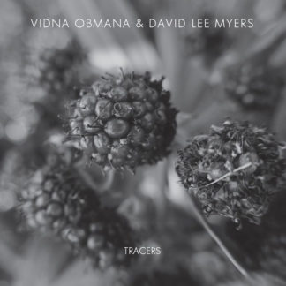vidna-obmana-david-lee-myers-tracers-cd-anxious-magazine